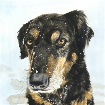 Hand Drawn Watercolor Dog Portrait from A Headshot Photo of A Black Dog, by myDaVinci - myDaVinci